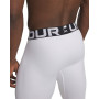 Pánské legíny Under Armour CG Armour Leggings