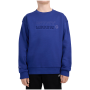 Dětská mikina 4F Sweatshirt M2688 Cobalt