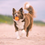 Hračka pro psa Explorer Dog AirBall Hroty 8 cm