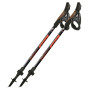 Nordic walking hole Fizan R-Evolution Pro