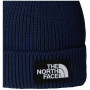 Pánská čepice The North Face Tnf Logo Box Cuffed Beanie