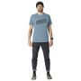 Pánské triko Dynafit Graphic Co M S/S Tee