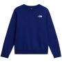 Pánská mikina The North Face M Evolution Box Nse Regular Crew