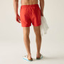 Pánské plavky Regatta Mawson Swim Shorts III