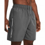Pánské kraťasy Under Armour Woven Wdmk Shorts