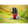 Postroj pro psa Mountain Paws Dog Harness