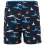Dětské plavky Regatta Kids' Skander III Swim Shorts