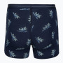 Pánské funkční boxerky Icebreaker Men M 150 Anatomica Boxers BearTourAOP