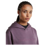 Dámská funkční mikina Icebreaker W Mer 360 RealFleece Elemental LS Hood