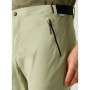 Pánské kraťasy Regatta Mountain Z/O Trousers