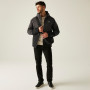 Pánská bunda Regatta Highton Stretch Padded Jacket