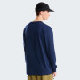 Pánská mikina The North Face M Evolution Simple Dome Regular Long Sle