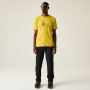 Pánské triko Dare 2b Movement III Tee
