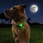 Světlo pro psa Nite Ize NiteDog™ Rechargeable Pet Light