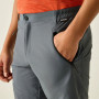 Pánské kraťasy Regatta Xert Stretch Shorts