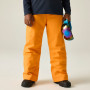 Dětské lyžařské kalhoty Dare 2b Outmove III Insulated Pant ElectricOrng