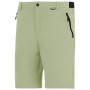 Pánské kalhoty Regatta Anti-Insect Travel Light Z/O Trousers