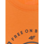 Pánské triko 4F Tshirt M3138