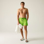Pánské plavky Regatta Mawson Swim Shorts III
