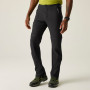 Pánské kraťasy Regatta Mountain Z/O Trousers