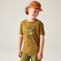 Dětské triko Dare 2b Trailbazer III Tee Dark Cumin