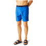 Pánské plavky Regatta Bentham swim short