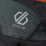 Ledvinka Dare 2b Torrek 3L
