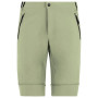 Pánské kraťasy Regatta Mountain Z/O Trousers