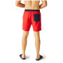 Pánské plavky Regatta Bentham swim short