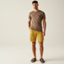 Pánské kraťasy Regatta Shorebay Shorts II