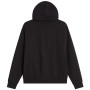 Pánská mikina The North Face M Evolution Simple Dome Regular Full Zip