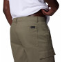 Pánské kraťasy Columbia Rapid Rivers™ Cargo Short