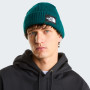 Čepice The North Face Salty Lined Beanie