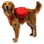 Postroj pro psa Ruffwear Palisades™ Pack
