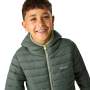Dětská zimní bunda Regatta Junior Hooded Marizion Dark Forrest Green