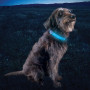 Svítící obojek pro psa Nite Ize NiteDog® Rechargeable LED Collar Cover