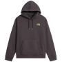 Pánská mikina The North Face U Nse Slopes Relaxed Hoodie - Graphic