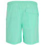 Pánské kraťasy Regatta Mackleyna Swim Short