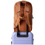 Batoh Cotopaxi Allpa 26L Daypack