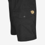 Pánské kraťasy Fjällräven Abisko Shorts M