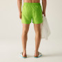 Pánské plavky Regatta Mawson Swim Shorts III