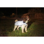 Pláštěnka pro psa Mountain Paws Reflective Fleece-Lined Dog Raincoat