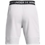 Pánské kraťasy Under Armour Vanish Woven Shorts