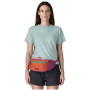 Ledvinka Patagonia Terravia Hip Pack