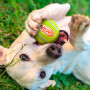 Hračka pro psa Nerf Dog Squeak Tennis Balls 3 pcs