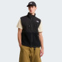 Pánská vesta The North Face M Retro Denali Vest
