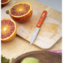 Nůž Opinel N°113 Sweet pop