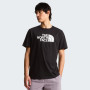Pánské triko The North Face Evolution Half Dome Regular Short Slee