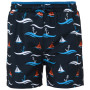 Dětské plavky Regatta Kids' Skander III Swim Shorts