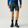 Pánské kraťasy Regatta Xert Stretch Shorts